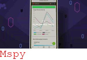 Mspy Instagram Dm